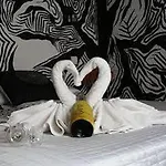 Posada De Ongayo Guest house 3*