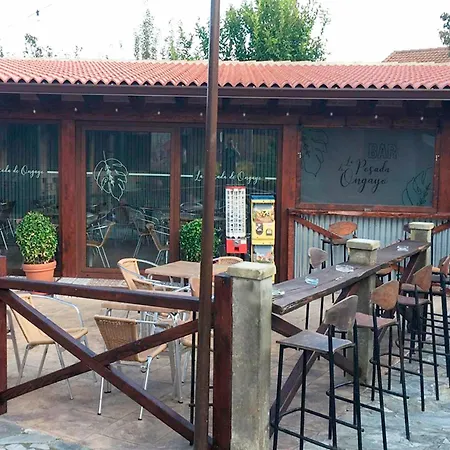 بيت ضيافة De Ongayo سوانثيس