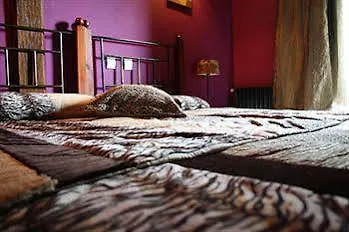 Posada De Ongayo Guest house