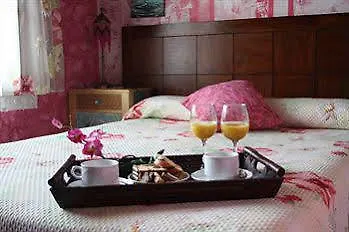 De Ongayo 수안세스