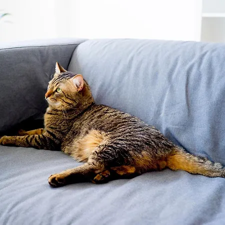 Pensjonat De Ongayo Suances